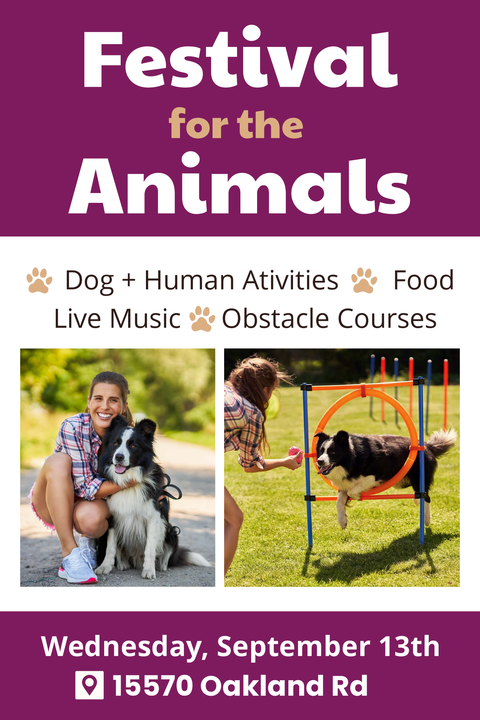 Dog Training With Owner Animal Festival Events Template